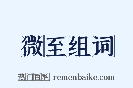 微至组词是什么意思的图片